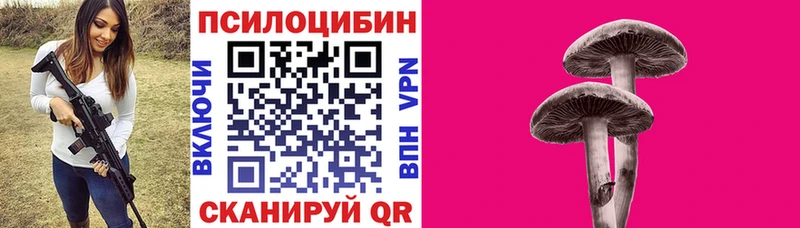 Галлюциногенные грибы Cubensis  Купить закладки  Майский 